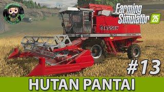 FS 25 : Hutan Pantai #13 | Доски | Трелёвочник John Deere | Massey 8570