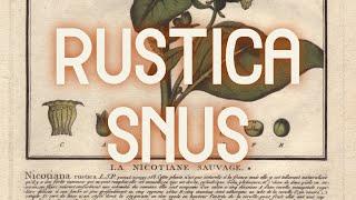 What's a 100% Rustica Snus Taste Like?