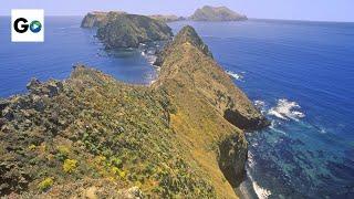 Channel Islands National Park