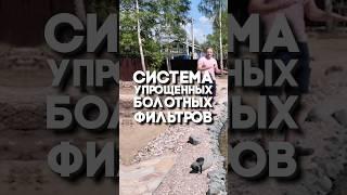 Упрощенный болотный фильтр в пруду!