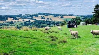 Lush Green Yorkshire Sculpture Park walking tour with Sharkmama - Summer in England