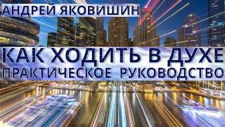 Андрей Яковишин. Как ходить в Духе.  Практическое руководство.