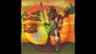 Ambient Warrior - The Ambient Warrior