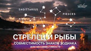 СТРЕЛЕЦ И РЫБЫ СОВМЕСТИМОСТЬ ЗНАКОВ ЗОДИАКА