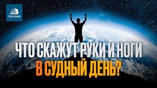 Что скажут руки и ноги в Судный день?