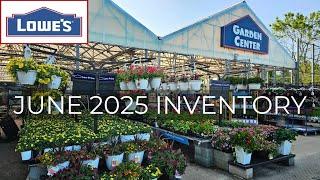 NEW ARRIVALS Lowes Garden Center June 2025 Inventory | Perennials, Annuals, Shrubs, Evergreens