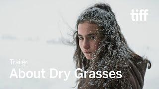 ABOUT DRY GRASSES Trailer | TIFF 2023