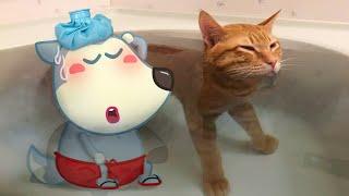 Funny Cat Loves Bathing with Wolfoo !!  Wolfoo in Real Life ! Funniest Cats And Dogs Videos