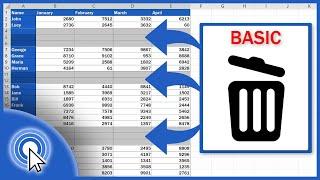 How to Remove Blank Rows in Excel - BASIC