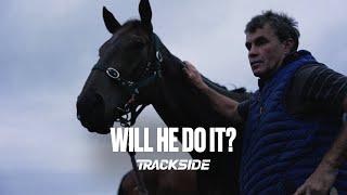 Willydoit feature ahead of the NZ Derby