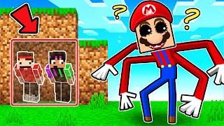 I Cheated in HIDE AND SEEK vs MUTANT MARIO!