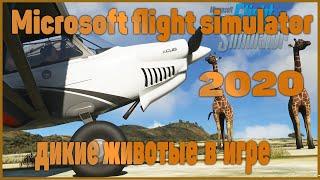 Microsoft flight simulator 2020ЖИВОТНЫЕОБЗОР