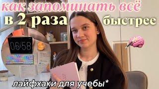 как ЗАПОМИНАТЬ ВСЕ в 2 раза БЫСТРЕЕ? учись меньше и лучше