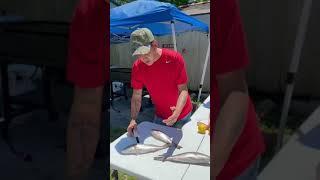 Cajun Red Fish Recipe | Let’s Go!