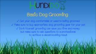 Basic Dog Grooming