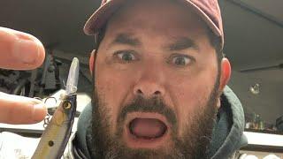 How to catch giants bass fishing January 2025, Lake Fork, Sam Rayburn, Toledo Bend, complete guide!!