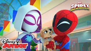 Yavru Köpek Kargaşası | Marvel Spidey ve İnanılmaz Arkadaşları | Disney Türkiye