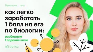 Как легко заработать 1 балл на ЕГЭ по биологии: разбираем 1 задание КИМа