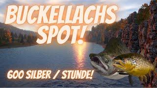 Russian Fishing 4 - Untere Tunguska - Buckellachs für alle!