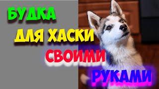 БУДКА ДЛЯ ХАСКИ СВОИМИ РУКАМИ / Чем заняться на карантине #StayHome #WithMe