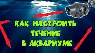 Как правильно настроить течение в аквариуме. Часть1