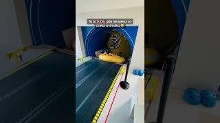 Inside AquaSpinner 