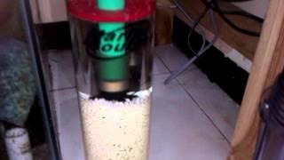 Marine sources Biopellet reactor w/ Penductor