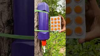 Survival Skills: SMART idea and USEFUL #bushcraft #camping #outdoors #ideas