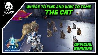 The Full Taming Guide For The CAT - No April Fool's Joke | ARK: Survival Ascended