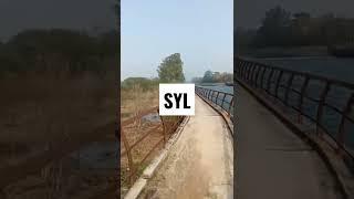 #syl #sidhumoosewala #pani #riber