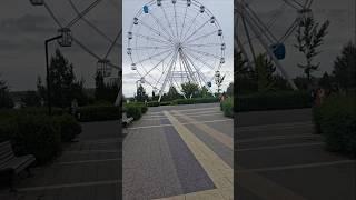 Летний ️ дождь#shortvideo #shorts #лето #природа #music #coversong
