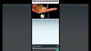 physiology of erection of penis #shortsfeed #nursing #shortvideo #viralvideo #shortsviral #viral