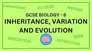 AQA GCSE Biology in 10 Minutes! | Topic 6 - Inheritance, Variation and Evolution