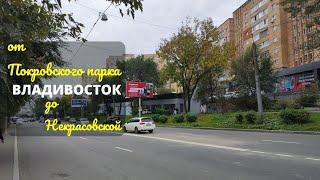 Владивосток октябрь 2024