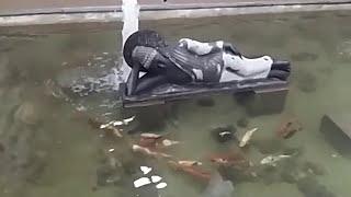 Our Client's new Koi Pond In Thiruvarur (Tamilnadu) - Japanese Koi Fish in India