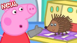 Peppa Pig Tales  Peppa Pig Learns About Hedgehogs  Peppa Pig Episodes