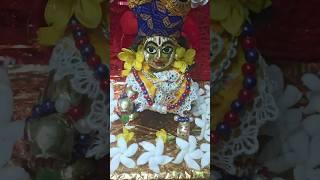 Laddu Gopal mere Laddu Gopal #shorts #shortvideo #youtubeshort