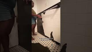 THEY CALLED ME CRAZY FOR WHAT I DID TO MY RENTAL APARTMENT, BUT GUESS WHAT....  #diy #bathroomdecor