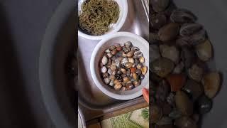 seashell//seaweeds #panlasangpinoy #seafood #youtubeshorts #food #foodie foo