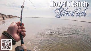 How To Catch Bluefish - PART 1 - Long Island Surf Fishing Summer - Get Reel Bass Fishing