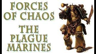 Warhammer 40k Lore - Plague Marines, Forces of Chaos