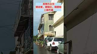 真實的台灣鐵皮屋，鐵陽台，鐵樓梯三鐵共構#Sophia#台灣#台語歌#彤彤紫茵茵#筑芊心#跑車阿筌#街拍#街頭攝影#真實的台灣#鐵皮屋