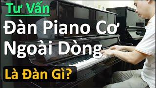  Đàn Piano Cơ Japan Tầm Giá Trên Dưới 30 Triệu | Đàn Piano Cơ Ngoài Dòng Nhật Bản | Tuấn Lưu Piano