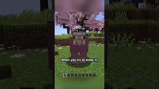 Shearing a jeb sheep #minecraft