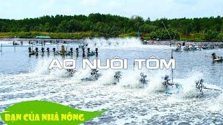 Kinh Nghiệm Xử Lý Ao Nuôi Tôm Bằng Chế Phẩm Sinh Học