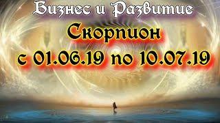 СКОРПИОН "БИЗНЕС И РАЗВИТИЕ" с 01.06 по 07.07 2019г от ОКЕАНЫ ТАРО