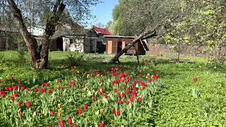 Участок в Салтыковке, Май