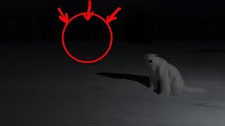 Polar Bear 2026 Meme Compilation (2023)