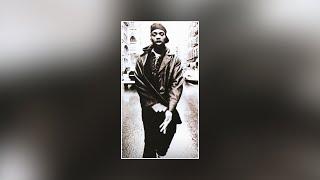 [FREE FOR PROFIT] VINTAGE SAMPLE PACK | GRISELDA, 90S SAMPLES, BOOM BAP, SOUL | 2025 | + SAMPLE NAME
