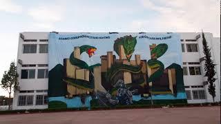 Olympiades INPT 2019 - Timelapse Tifo Ultras Bleu INEs [4k]